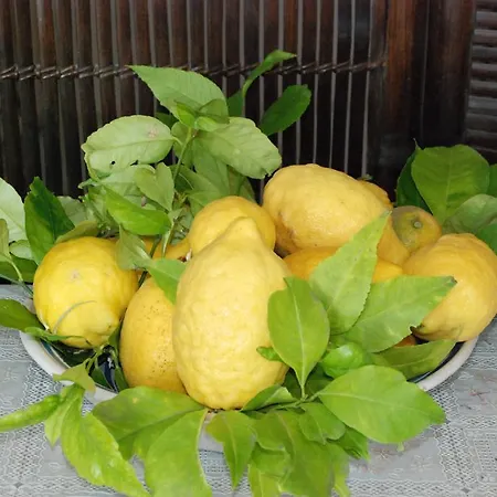 La Casetta Fra I Limoni אמאלפי