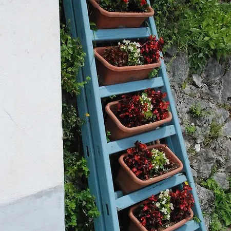 Bed & Breakfast La Casetta Fra I Limoni
